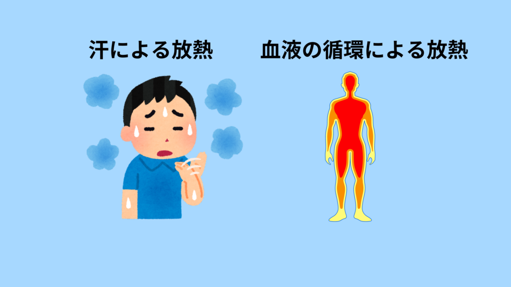 体温管理する水分の例