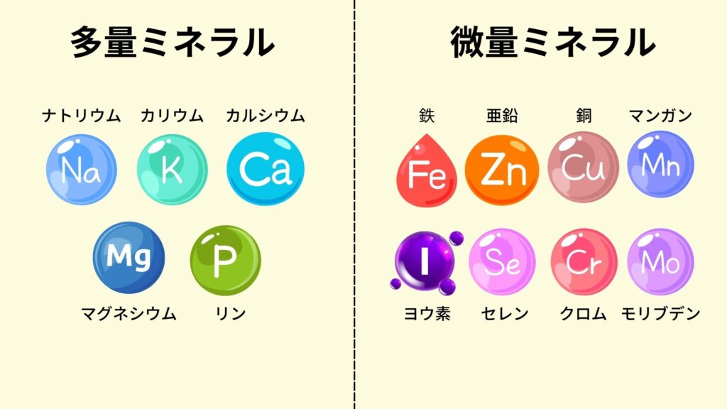 多量ミネラルと微量ミネラル