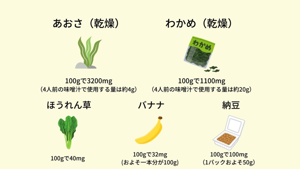 マグネシウム　食事例