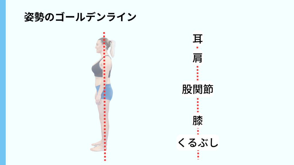 正しい姿勢-ゴールデンライン-