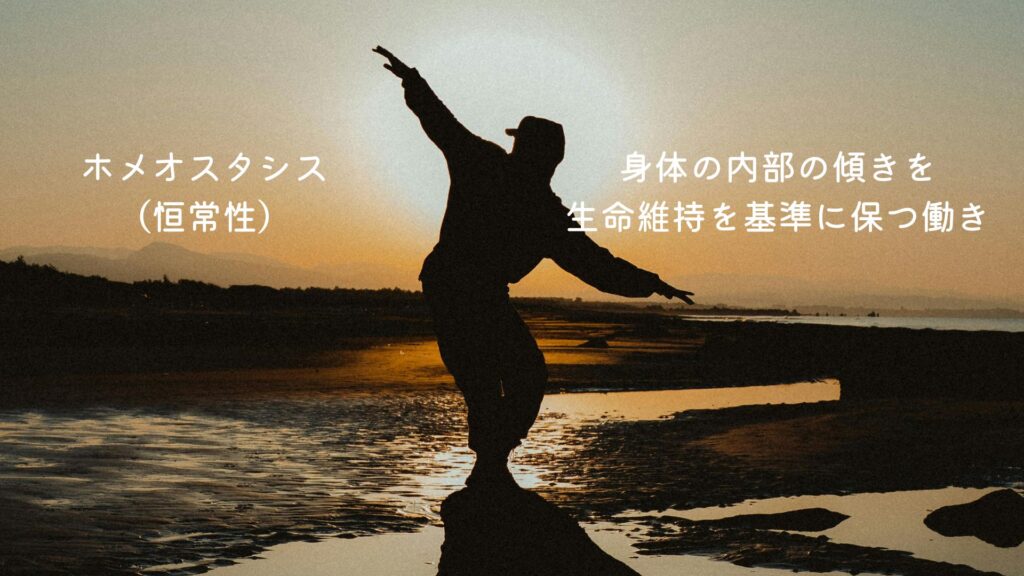 自律神経のバランス